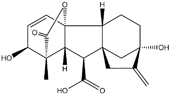 赤霉素GIBBERELLIC ACID，居然有這么神奇？